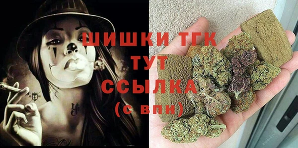 индика Абинск