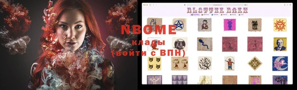 индика Абинск