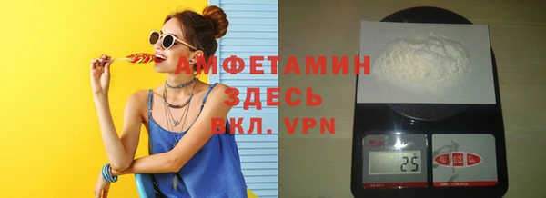 индика Абинск