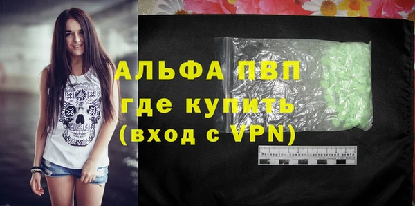 индика Абинск