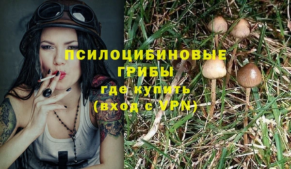 2c-b Абдулино
